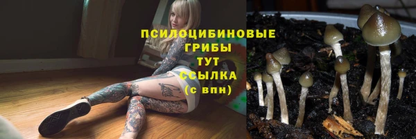 mdpv Аркадак