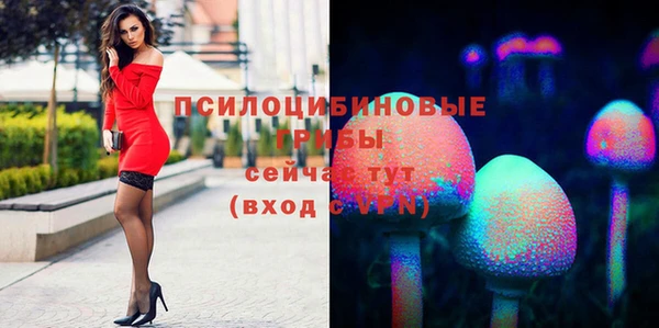 спиды Арсеньев
